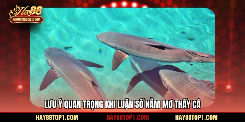 Lưu ý quan trọng khi luận số nằm mơ thấy cá